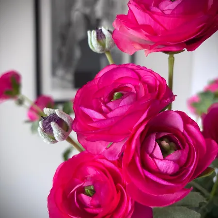 White Glove Deluxe Abstrakcja Parking Free Appartamento Olsztyn (Warmian-Masurian)